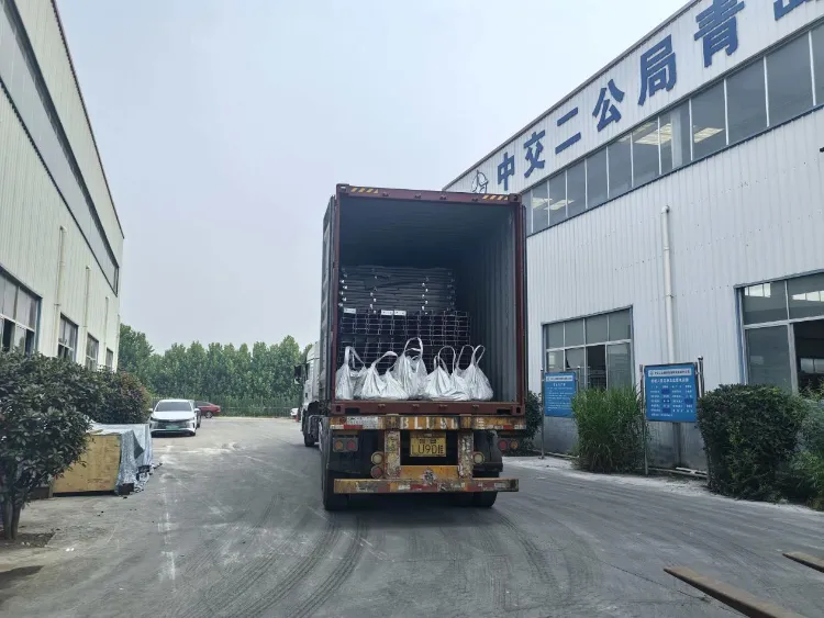 Qingdao Liweiyuan Çelik Yapı, İzlandalı Müşteriye Balıkçılık Çiftlikleri için Özel Çelik Bileşenler Sunuyor